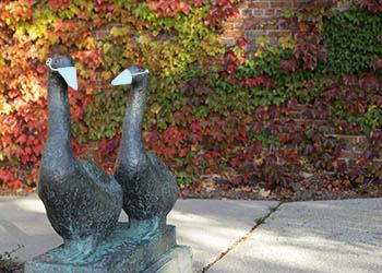 Library geese wearing masks