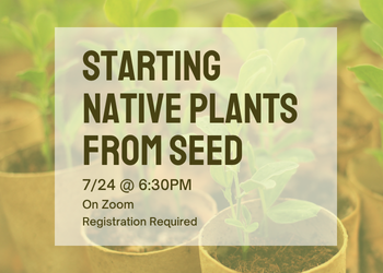 Starting Native Plants