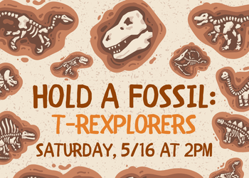 Register for Hold a Fossil on Saturday, May 16 at 2pm